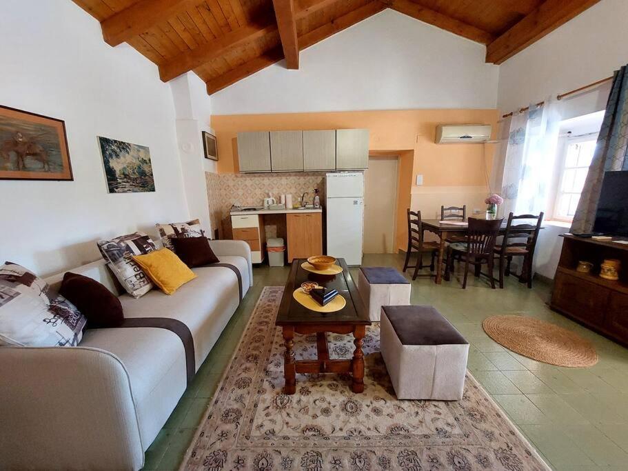 Apartman Boljevic Podgorica Exteriör bild