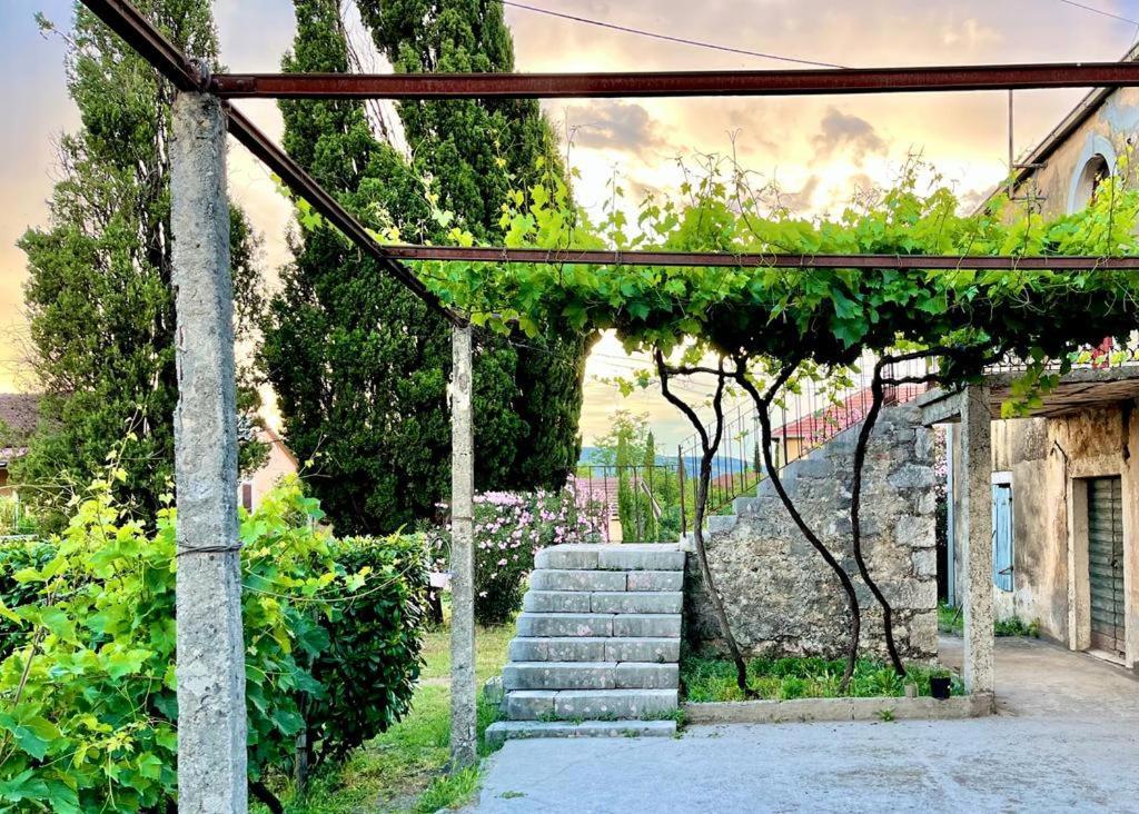Apartman Boljevic Podgorica Exteriör bild